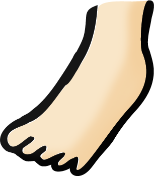 足の手描きフリーイラスト素材